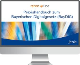 Praxishandbuch zum bayerischen E-Government-Gesetz online