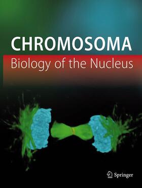 Chromosoma