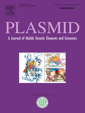 Plasmid