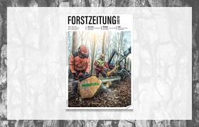 Forstzeitung