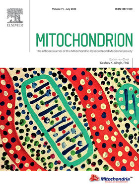 Mitochondrion