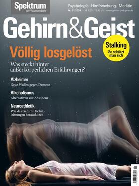 Gehirn und Geist