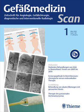 Gefäßmedizin Scan