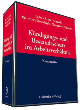 Kündigungs- und Bestandsschutz im Arbeitsverhältnis