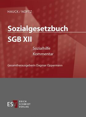 Sozialgesetzbuch (SGB) XII: Sozialhilfe - im Abonnementbezug