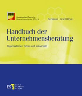 Handbuch der Unternehmensberatung - Abonnementsbezug