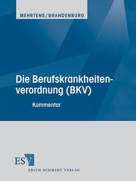 Die Berufskrankheitenverordnung (BKV)