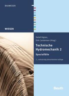 Technische Hydromechanik 2 - Buch mit E-Book