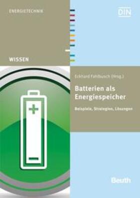 Batterien als Energiespeicher - Buch mit E-Book