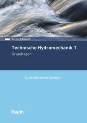 Technische Hydromechanik 1 - Buch mit E-Book