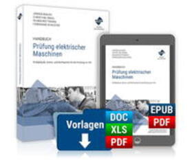 Schlüter, F: Handbuch Prüfung elektrischer Maschinen/Premium