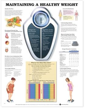 Maintaining A Healthy Weight