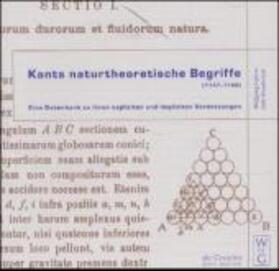 Kants naturtheoretische Begriffe