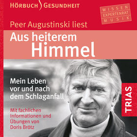 Aus heiterem Himmel (Hörbuch)