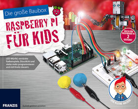 Der kleine Hacker: Raspberry Pi für Kids