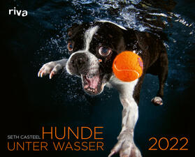 Casteel, S: Hunde unter Wasser 2022