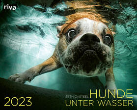 Casteel, S: Hunde unter Wasser 2023