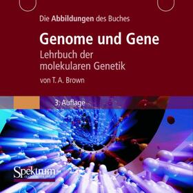 Die Abbildungen des Buches "Genome und Gene"